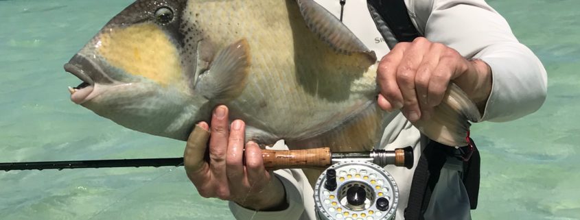 fly fishing for triggerfish on Christmas Island trigger fish